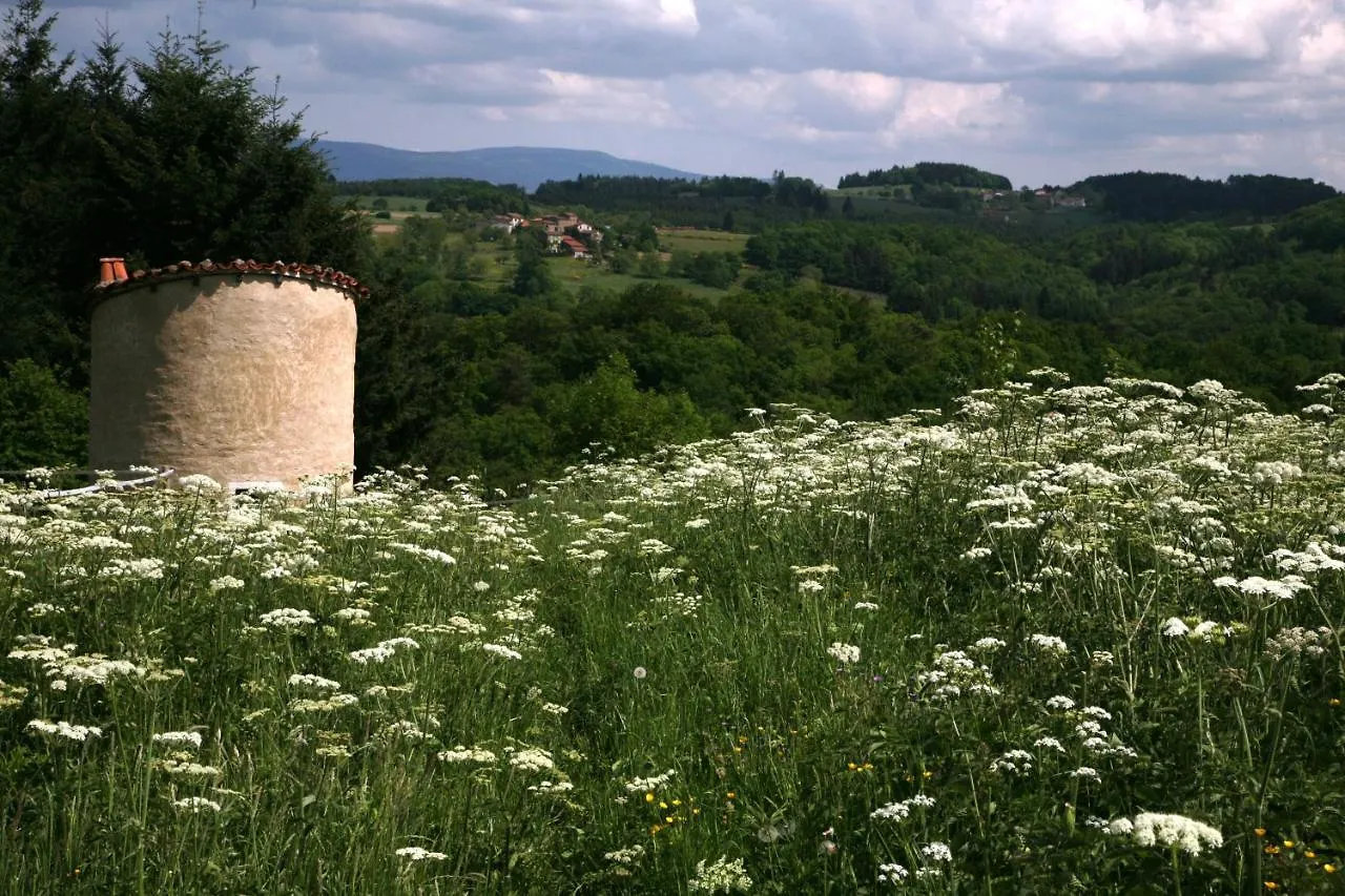 La Paresse En Douce Bed & Breakfast Tours-Sur-Meymont 0*,  France